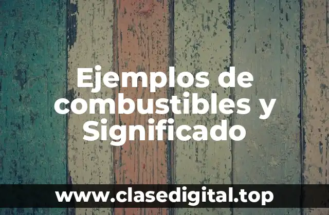 Ejemplos de combustibles y Significado