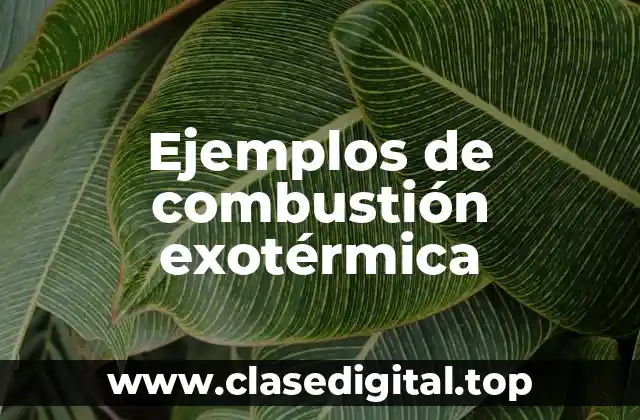 Ejemplos de combustión exotérmica
