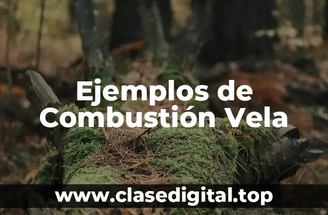 Ejemplos de Combustión Vela