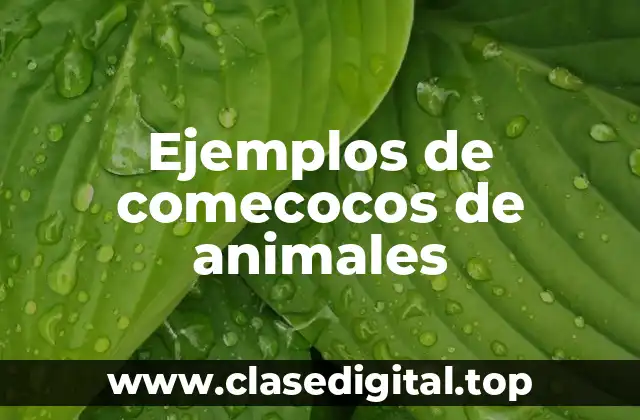 Ejemplos de comecocos de animales