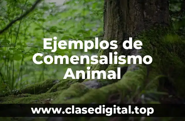 Ejemplos de Comensalismo Animal