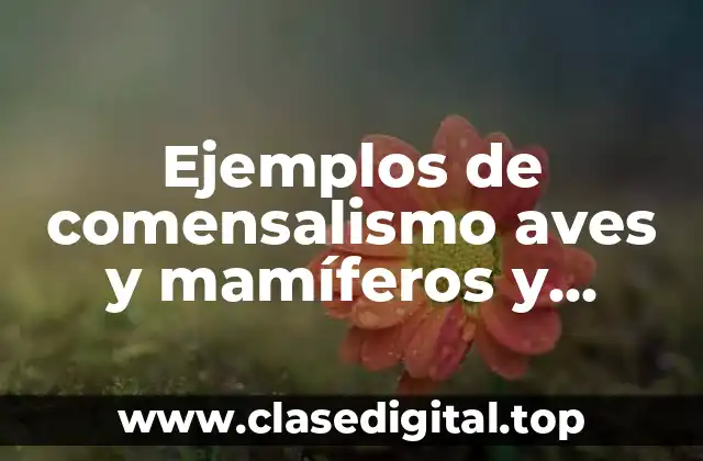 Ejemplos de comensalismo aves y mamíferos y Significado
