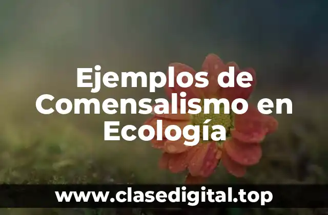 Ejemplos de Comensalismo en Ecología