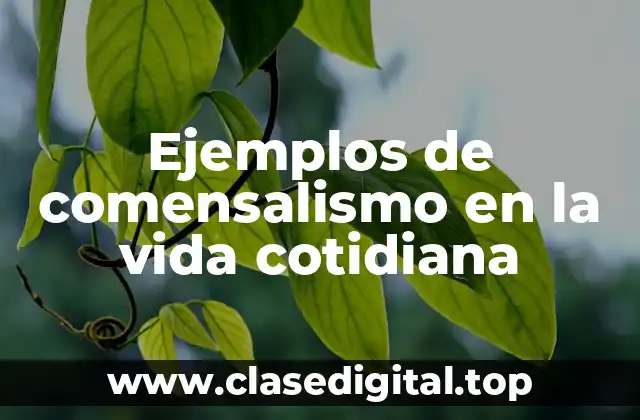 Ejemplos de comensalismo en la vida cotidiana