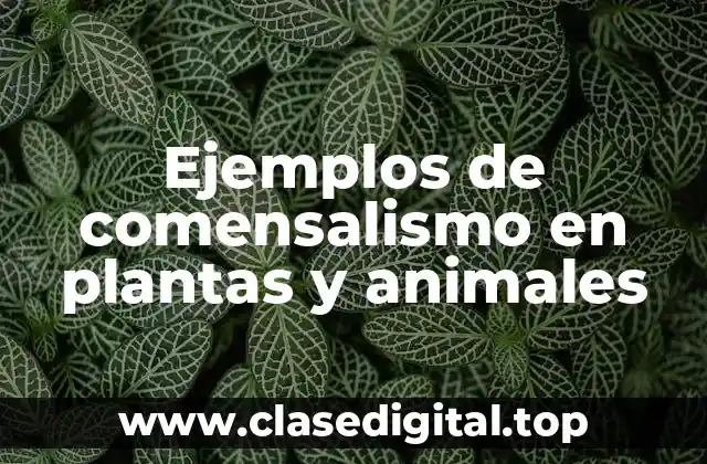 Ejemplos de comensalismo en plantas y animales
