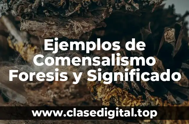 Ejemplos de Comensalismo Foresis y Significado