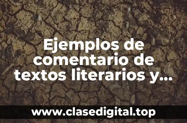 Ejemplos de comentario de textos literarios