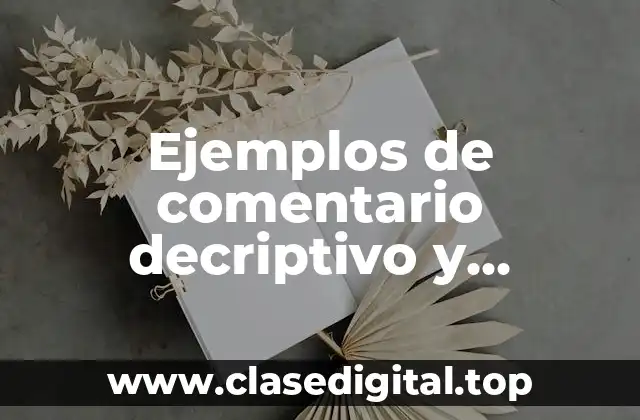 Ejemplos de comentario decriptivo y Significado