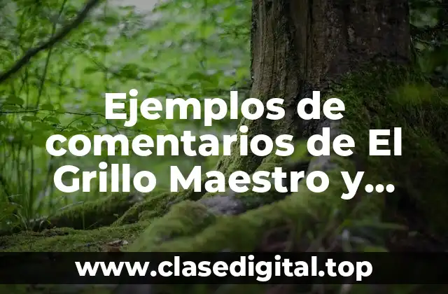 Ejemplos de comentarios de El Grillo Maestro y Significado