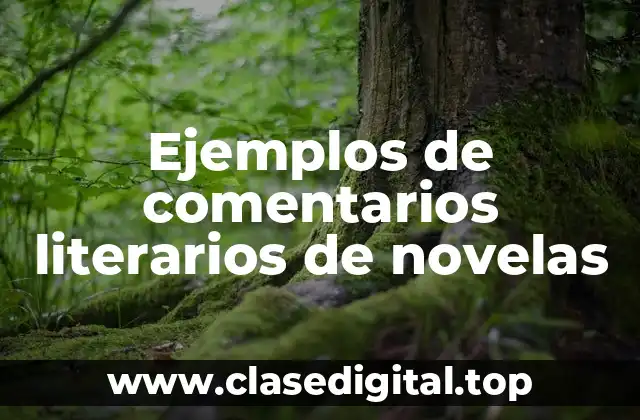Ejemplos de comentarios literarios de novelas