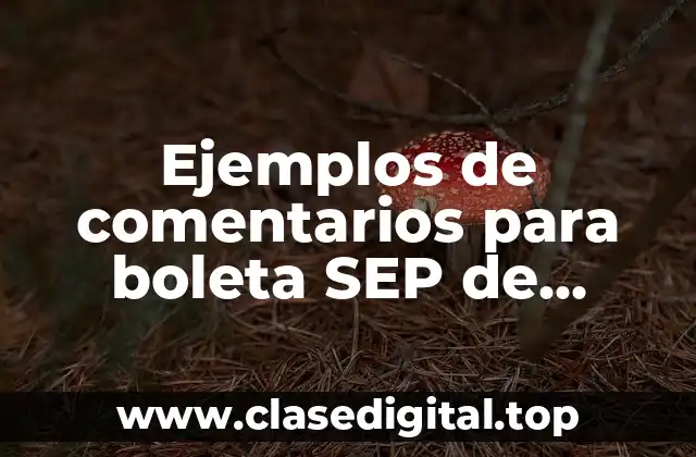 Ejemplos de comentarios para boleta SEP de preescolar