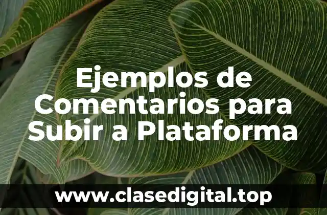 Ejemplos de Comentarios para Subir a Plataforma