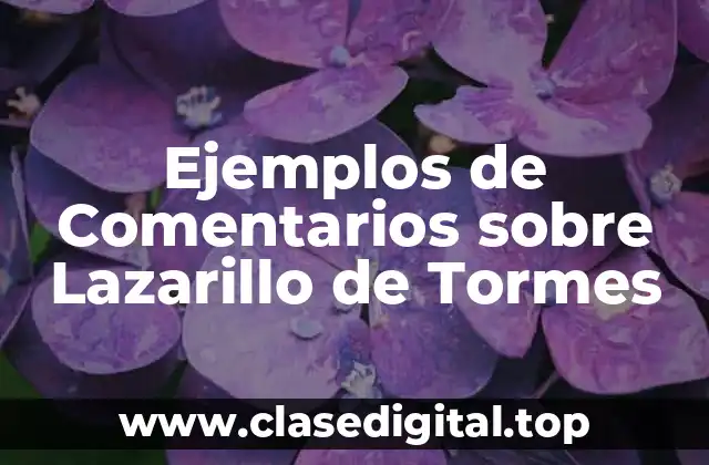 Ejemplos de Comentarios sobre Lazarillo de Tormes