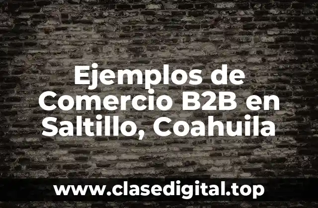 Ejemplos de Comercio B2B en Saltillo, Coahuila