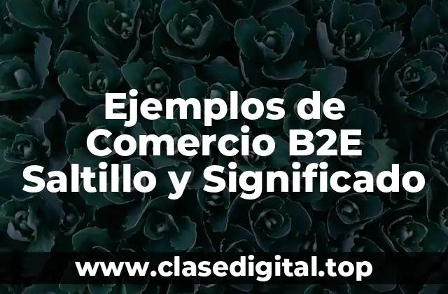 Ejemplos de Comercio B2E Saltillo y Significado