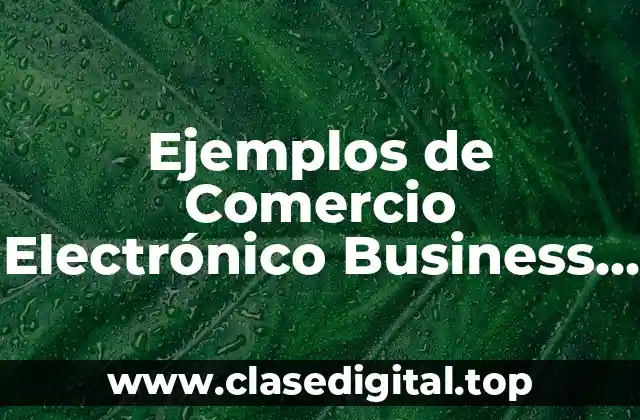Ejemplos de Comercio Electrónico Business to Business