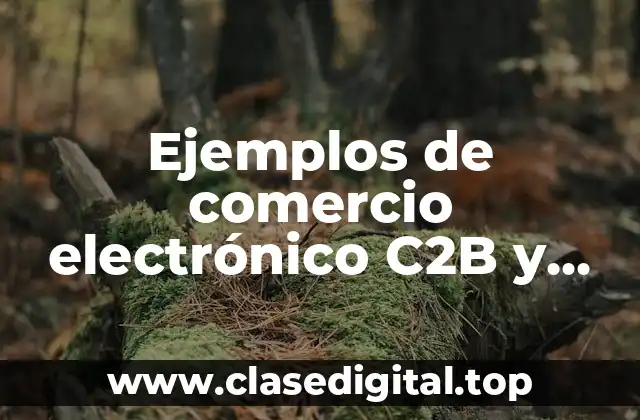 Ejemplos de comercio electrónico C2B y Significado