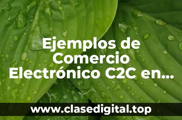 Ejemplos de Comercio Electrónico C2C en México