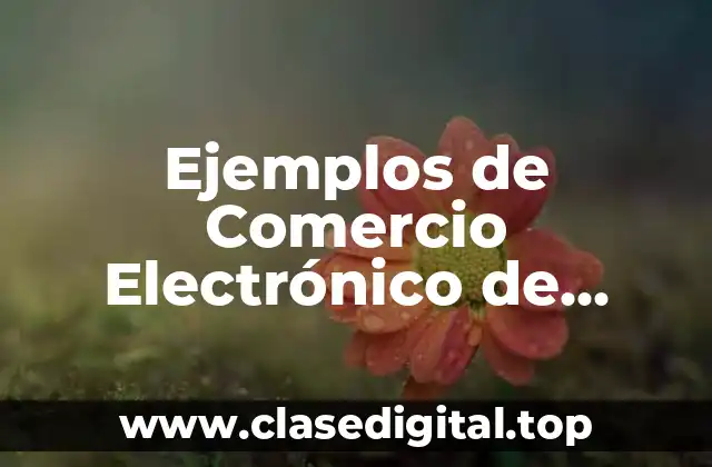 Ejemplos de Comercio Electrónico de Consumidor a la Empresa