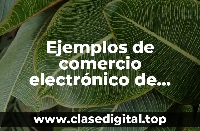 Ejemplos de comercio electrónico de negocio a negocio