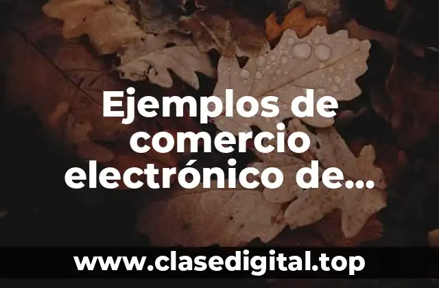 Ejemplos de comercio electrónico de transacción