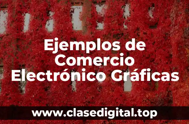 Ejemplos de Comercio Electrónico Gráficas