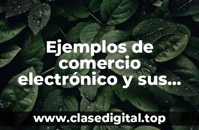 Ejemplos de comercio electrónico y sus herramientas