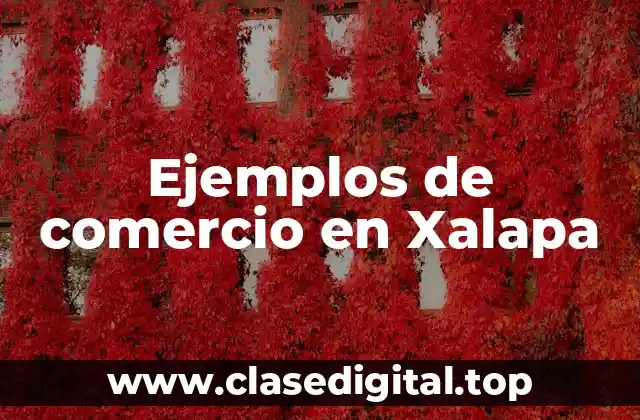 Ejemplos de comercio en Xalapa