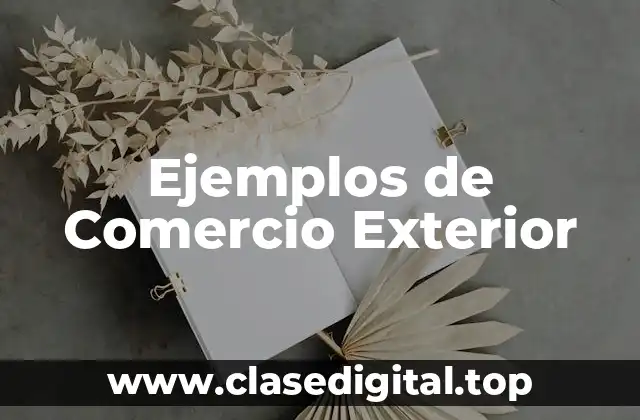 Ejemplos de Comercio Exterior