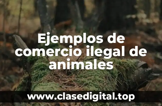 Ejemplos de comercio ilegal de animales