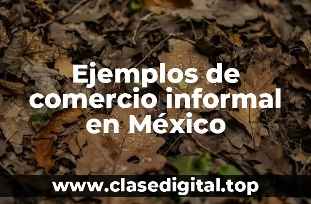 Ejemplos de comercio informal en México