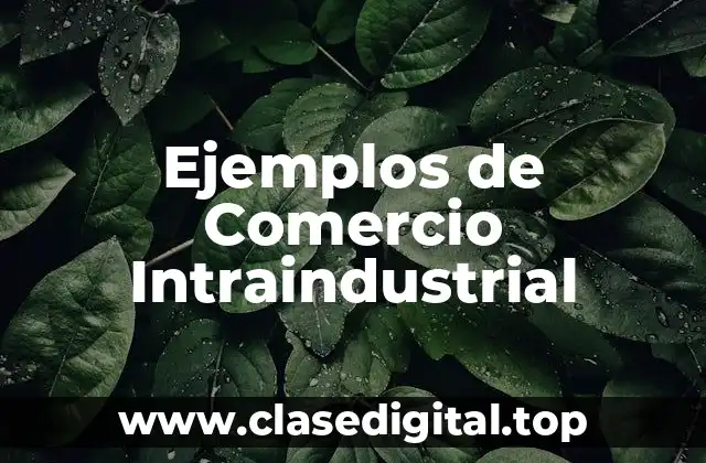 Ejemplos de Comercio Intraindustrial