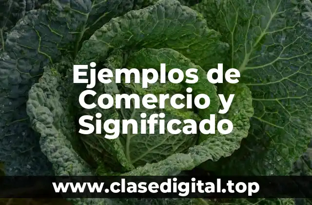 Ejemplos de Comercio y Significado