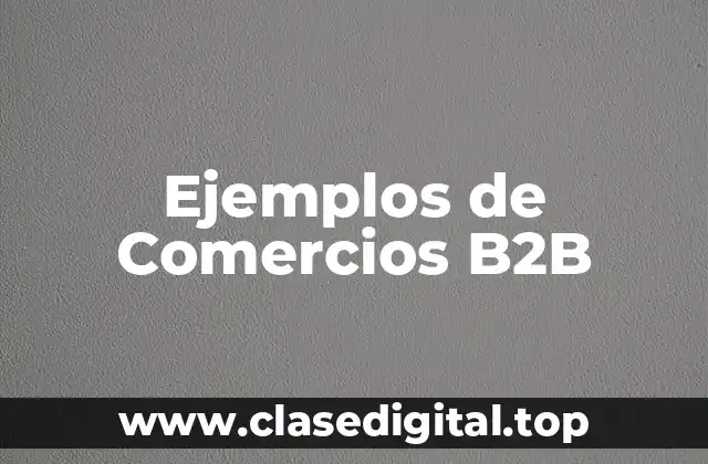 Ejemplos de Comercios B2B