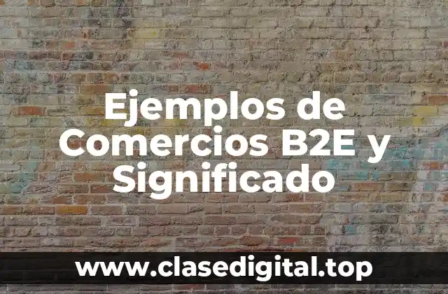 Ejemplos de Comercios B2E y Significado