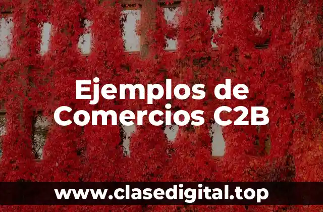 Ejemplos de Comercios C2B