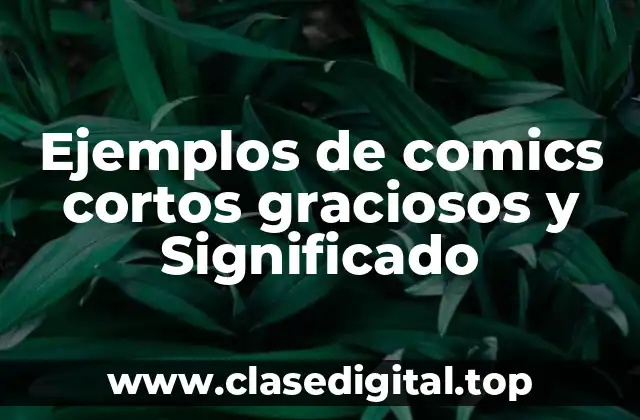 Ejemplos de comics cortos graciosos