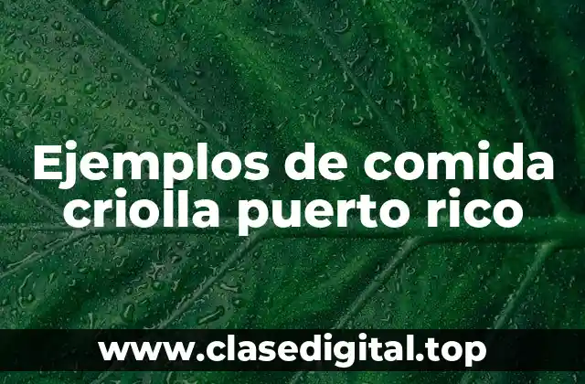 Ejemplos de comida criolla puerto rico
