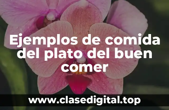 Ejemplos de comida del plato del buen comer