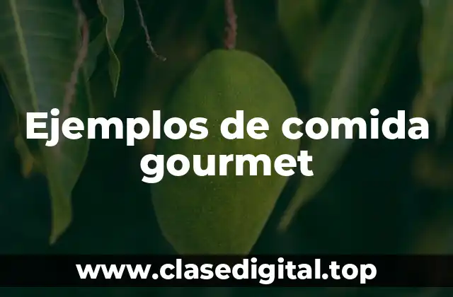 Ejemplos de comida gourmet