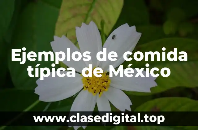 Ejemplos de comida típica de México