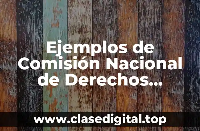 Ejemplos de Comisión Nacional de Derechos Humanos de Guerrero