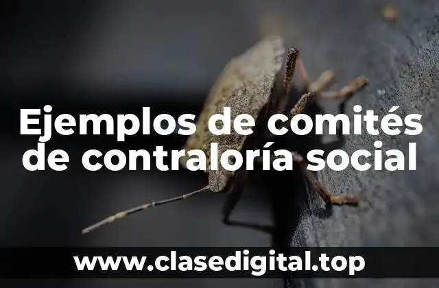 Ejemplos de comités de contraloría social