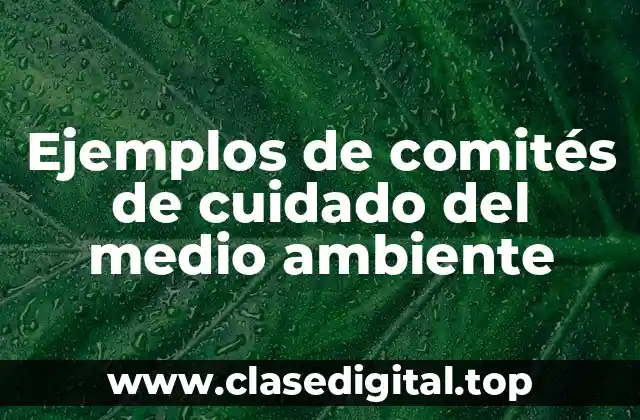 Ejemplos de comités de cuidado del medio ambiente