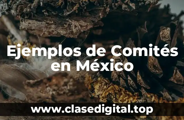Ejemplos de Comités en México