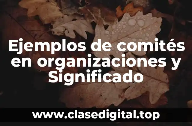 Ejemplos de comités en organizaciones y Significado