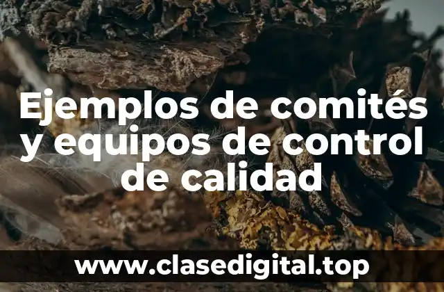 Ejemplos de comités y equipos de control de calidad