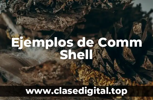 Ejemplos de Comm Shell