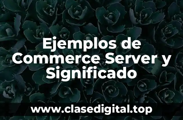 Ejemplos de Commerce Server y Significado