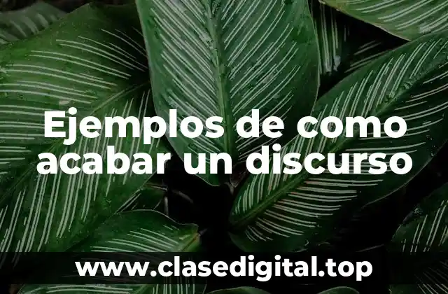 Ejemplos de como acabar un discurso